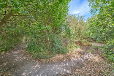 Furzedown, Les Tracheries Road, St Sampson photo 32