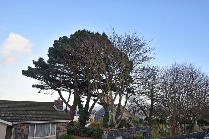 Flat 5, Ringwood, St John's Road, St Peter Port photo 2