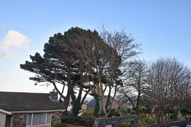 Flat 5, Ringwood, St John's Road, St Peter Port photo 3