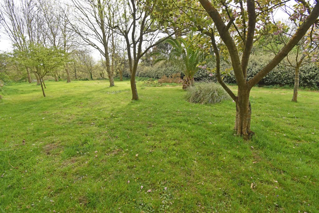 Cliff Dale, Le Bourg, Forest photo 22