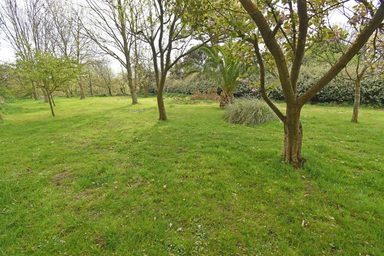 Cliff Dale, Le Bourg, Forest photo 22