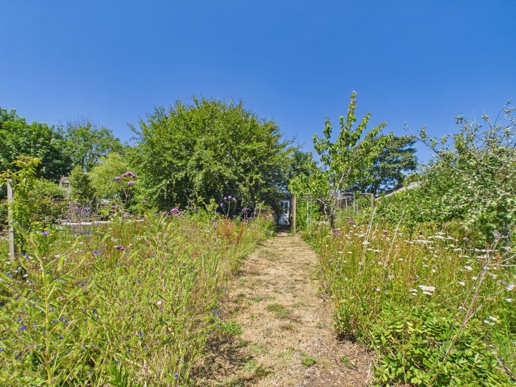 Cavendish, Rue De La Manoir, Forest photo 18