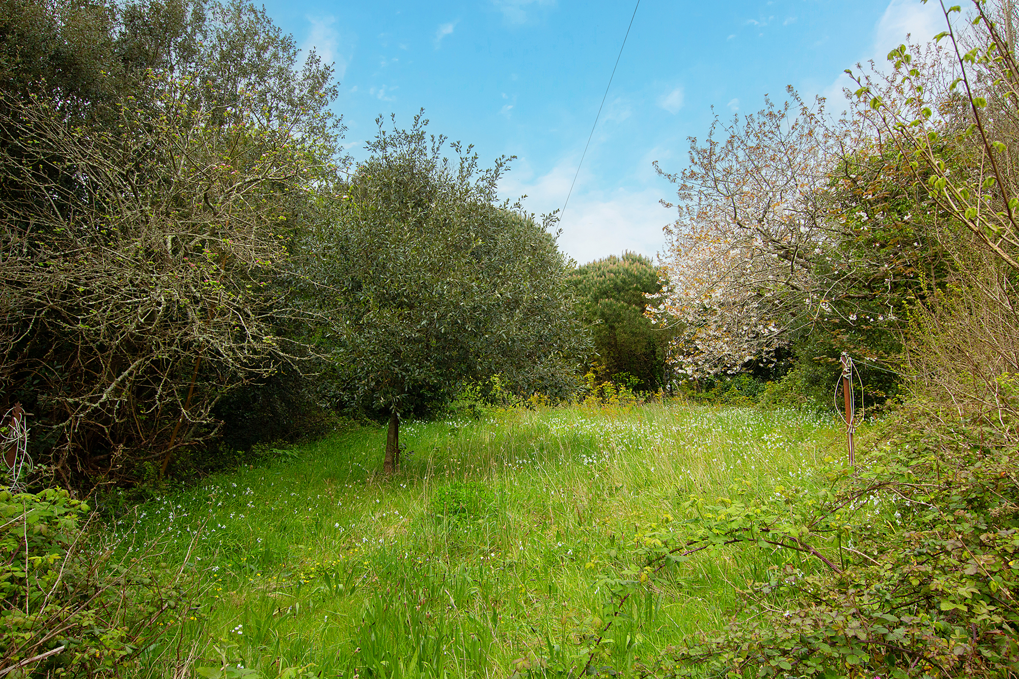 Calais Farmhouse photo 2