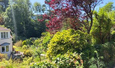 Les Arbres photo 12