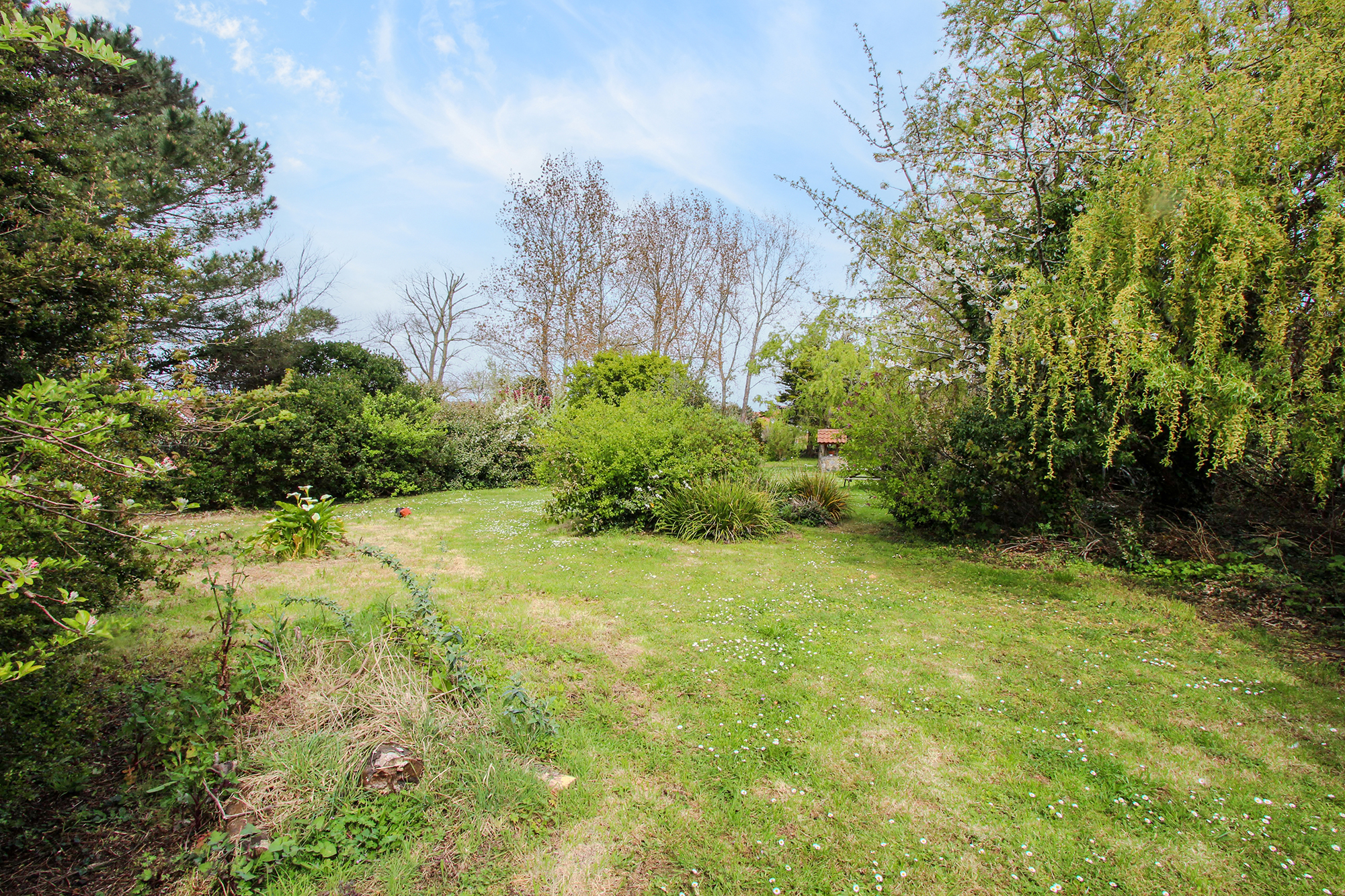 Folie Cottage photo 19