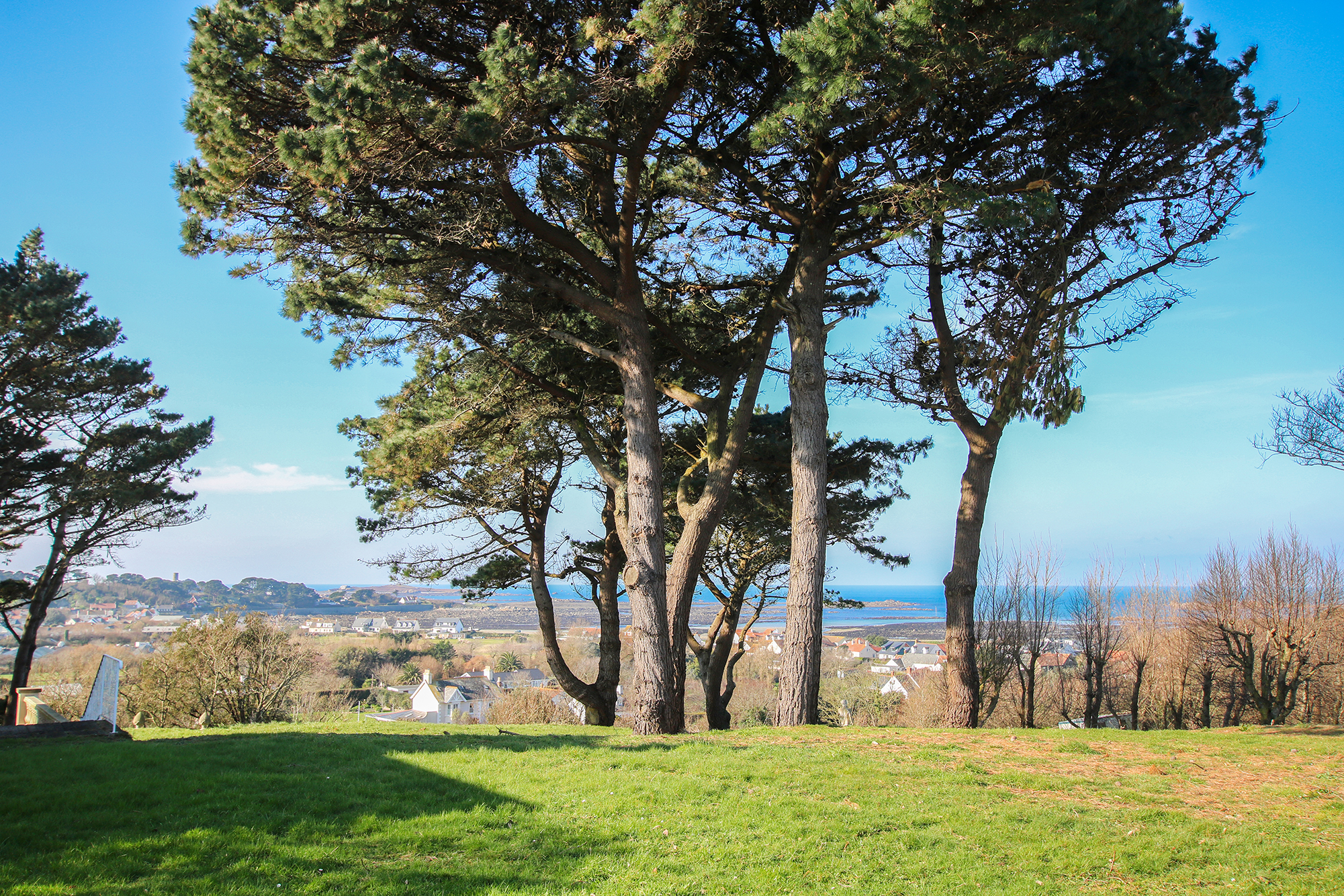Le Mont Saint photo 27