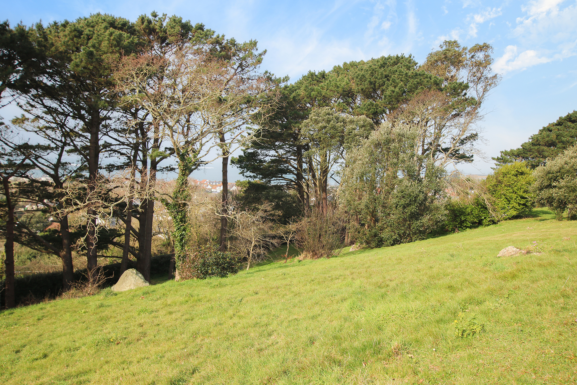 Le Mont Saint photo 25