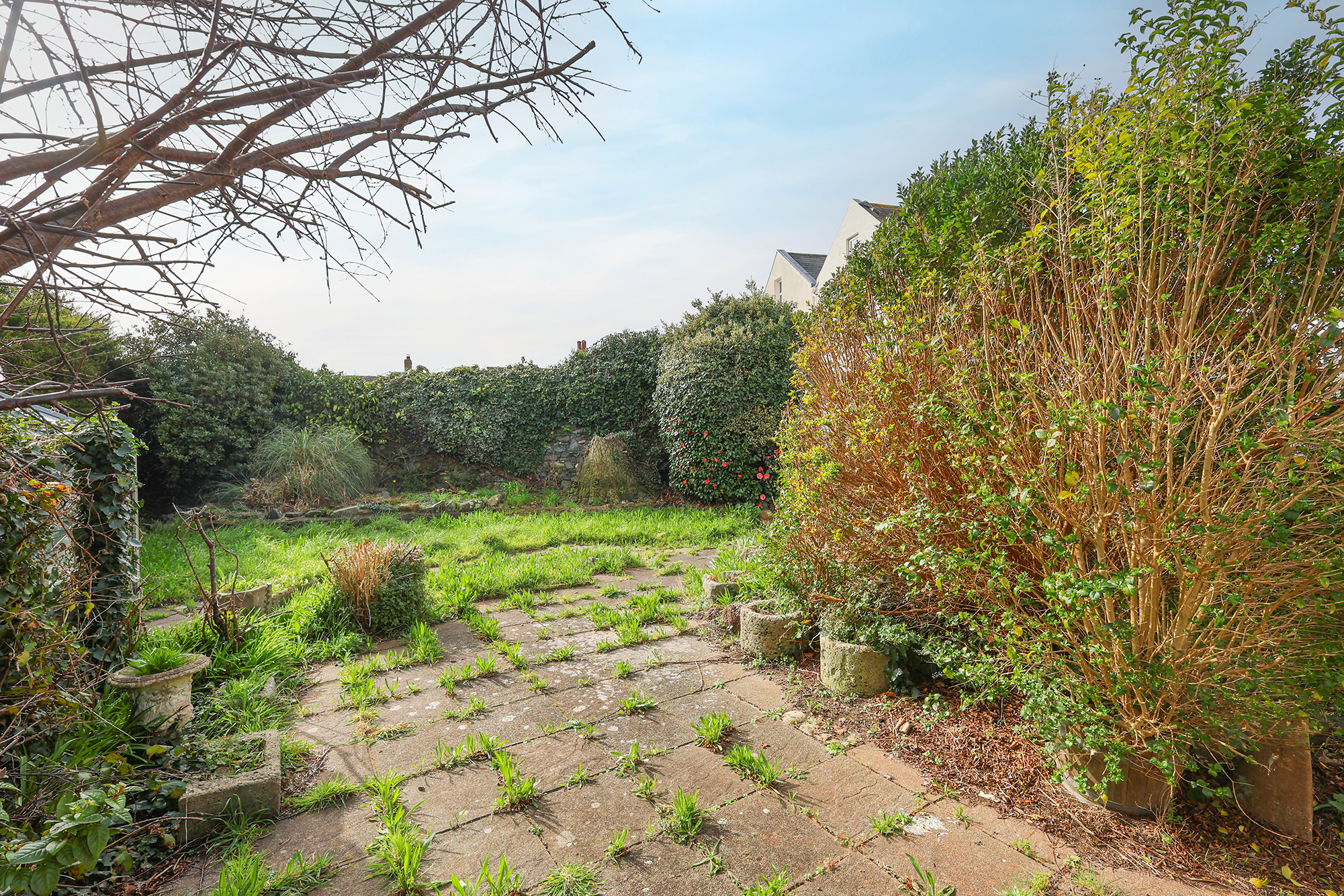 La Petite Maison photo 21