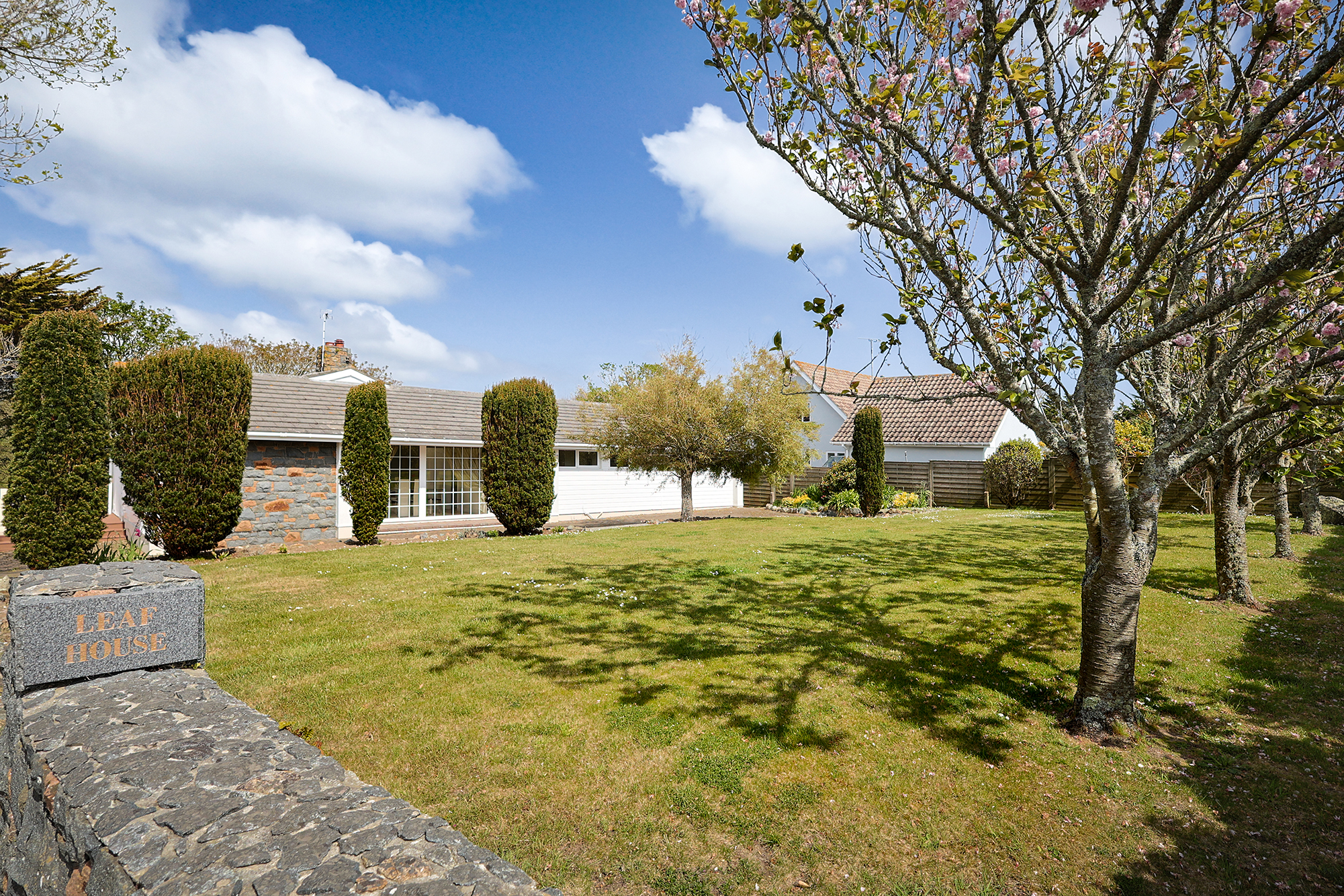 Leaf House photo 3