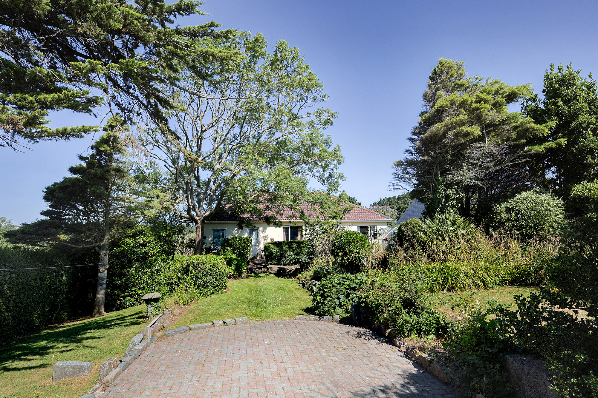 Davana Vista photo 1