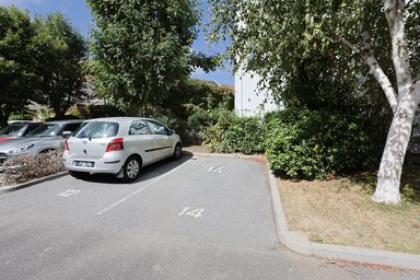 Tasha Drive photo 16