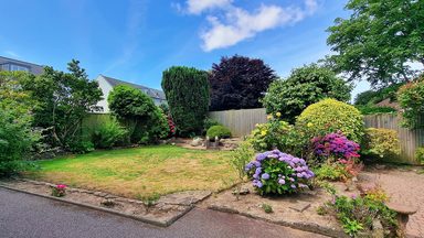 Lymehurst photo 24