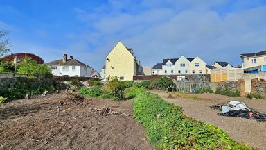 Lillington photo 27