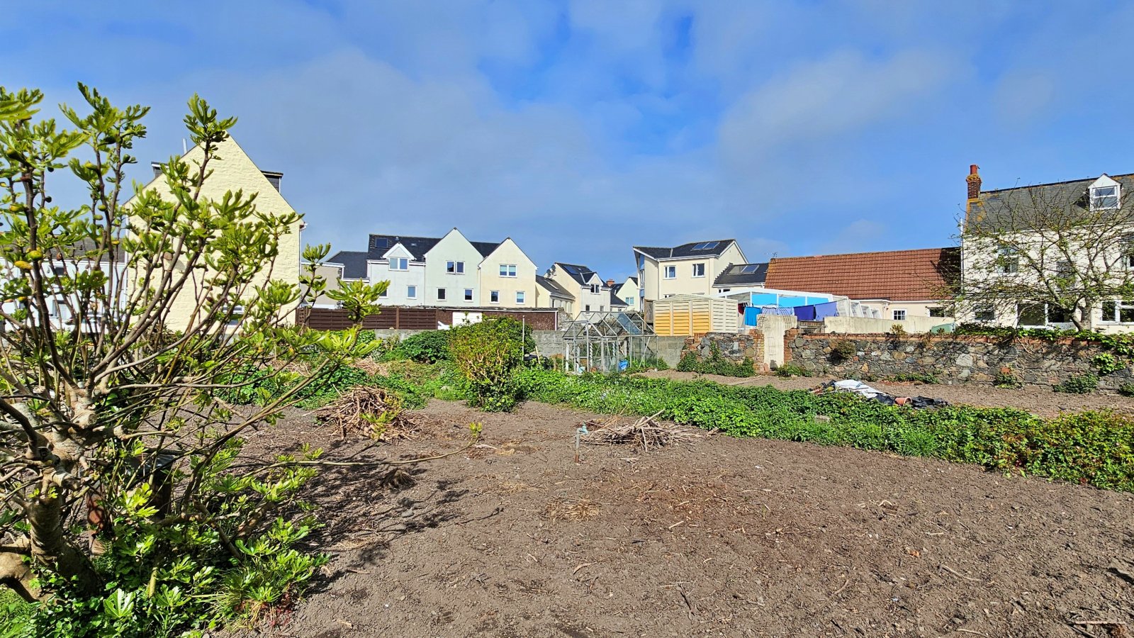 Lillington photo 26