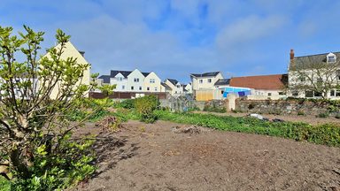 Lillington photo 26