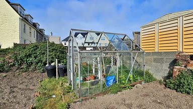 Lillington photo 24