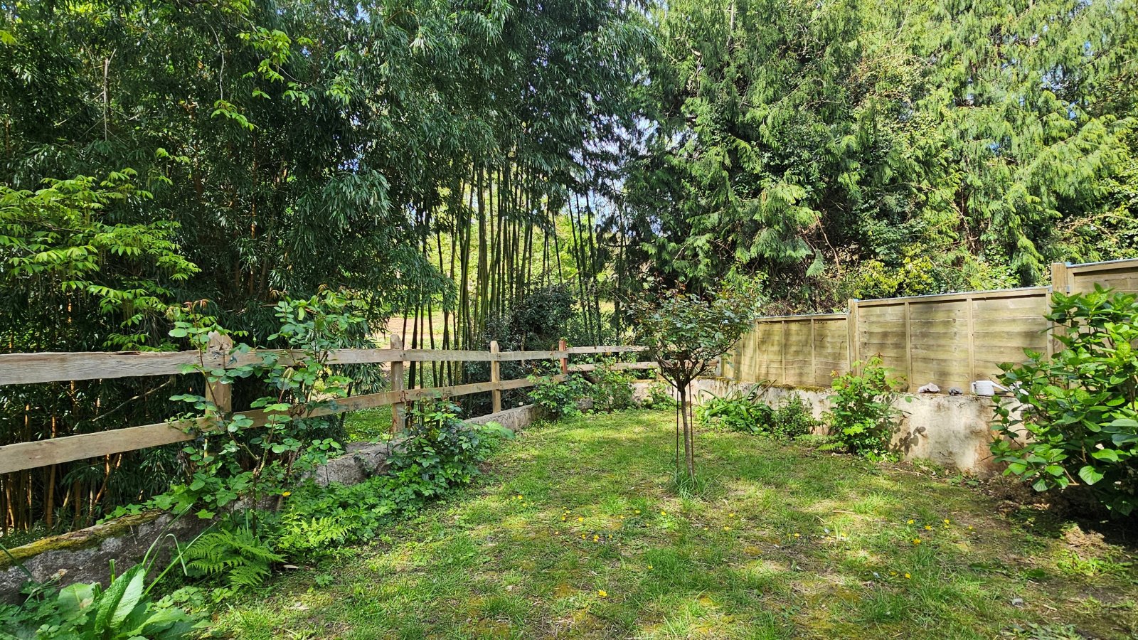 1 Havilland Cottages photo 14