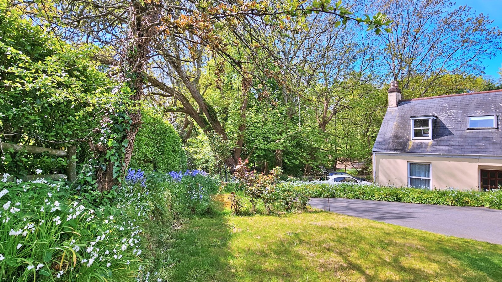 1 Havilland Cottages photo 18