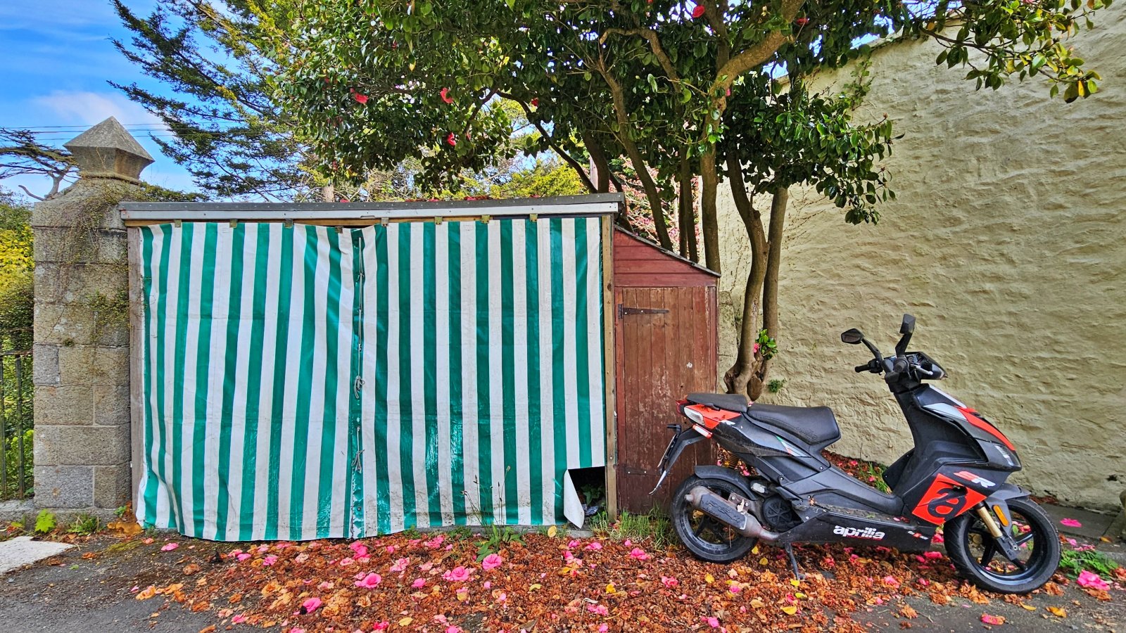 Pierre Percee Villa photo 24