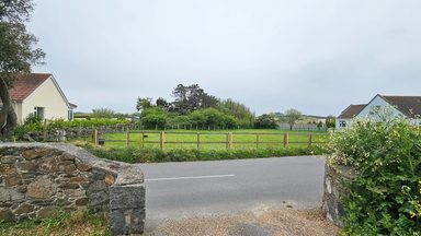Meadow Mist photo 8