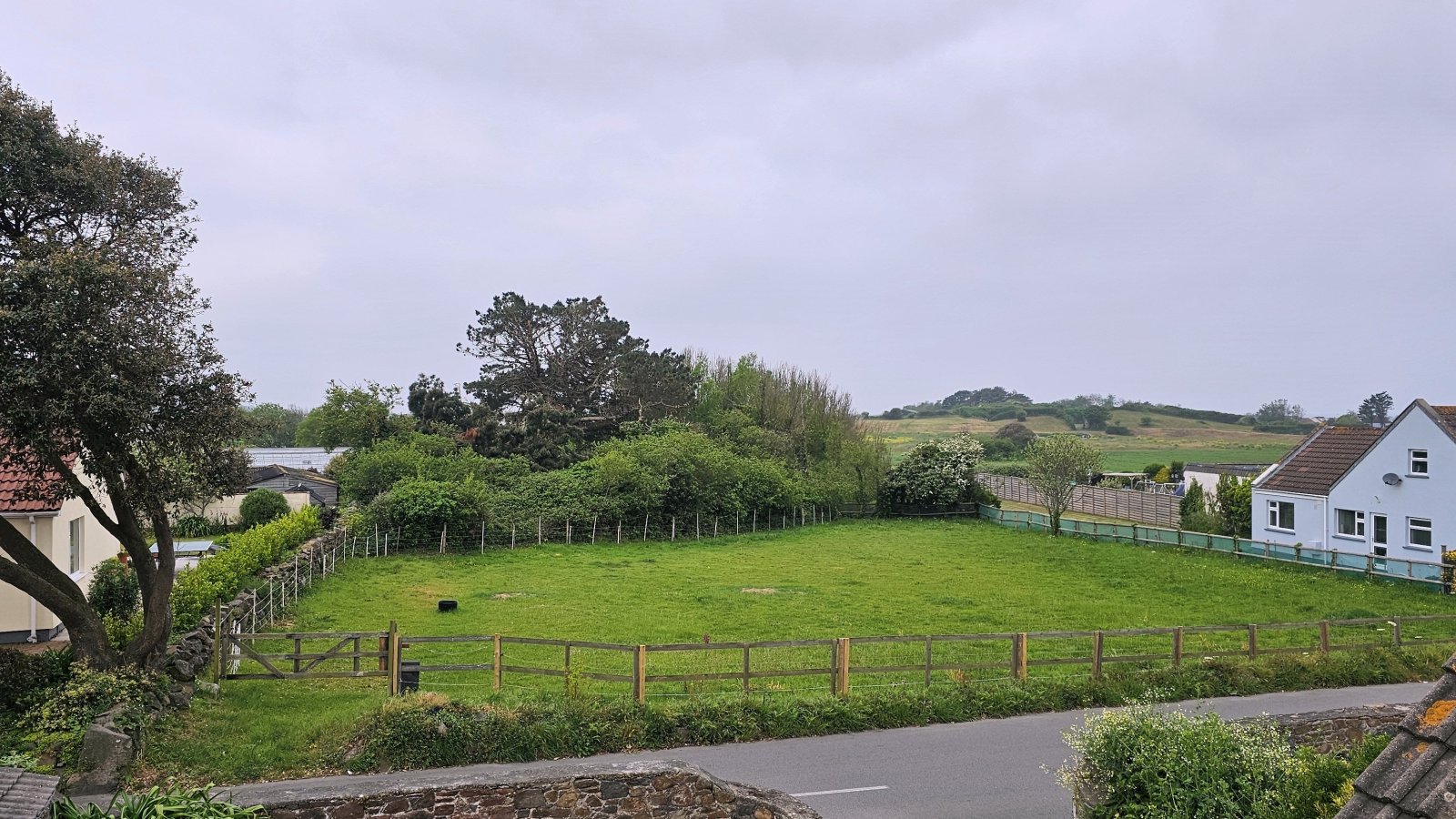 Meadow Mist photo 23