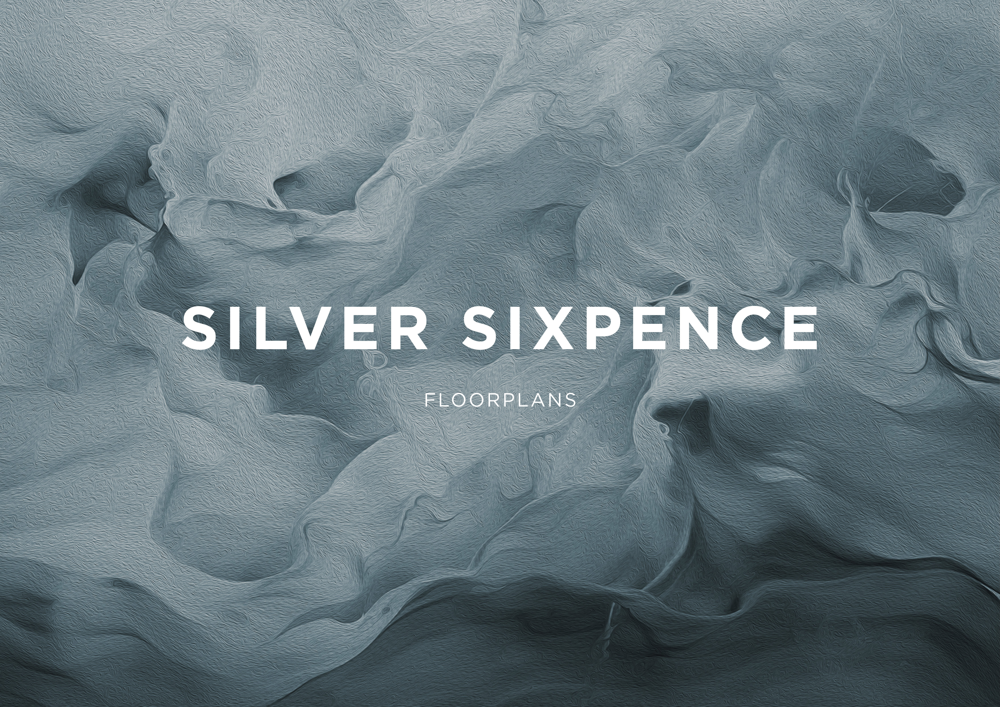 Silver Sixpence photo 109