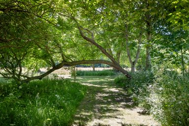 Silver Sixpence photo 85