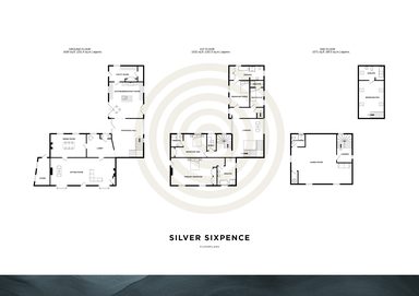 Silver Sixpence photo 110