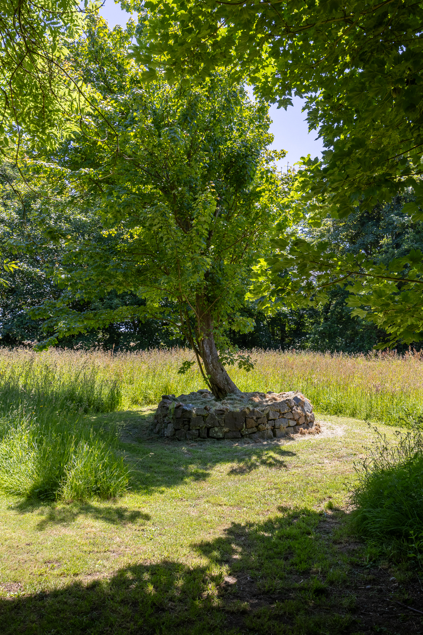 Silver Sixpence photo 88