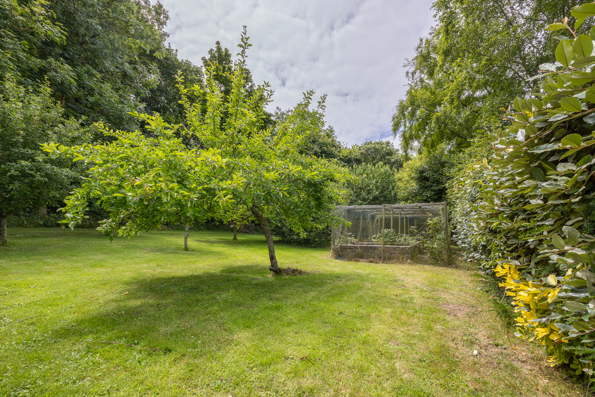 Kings Mills Farm photo 107