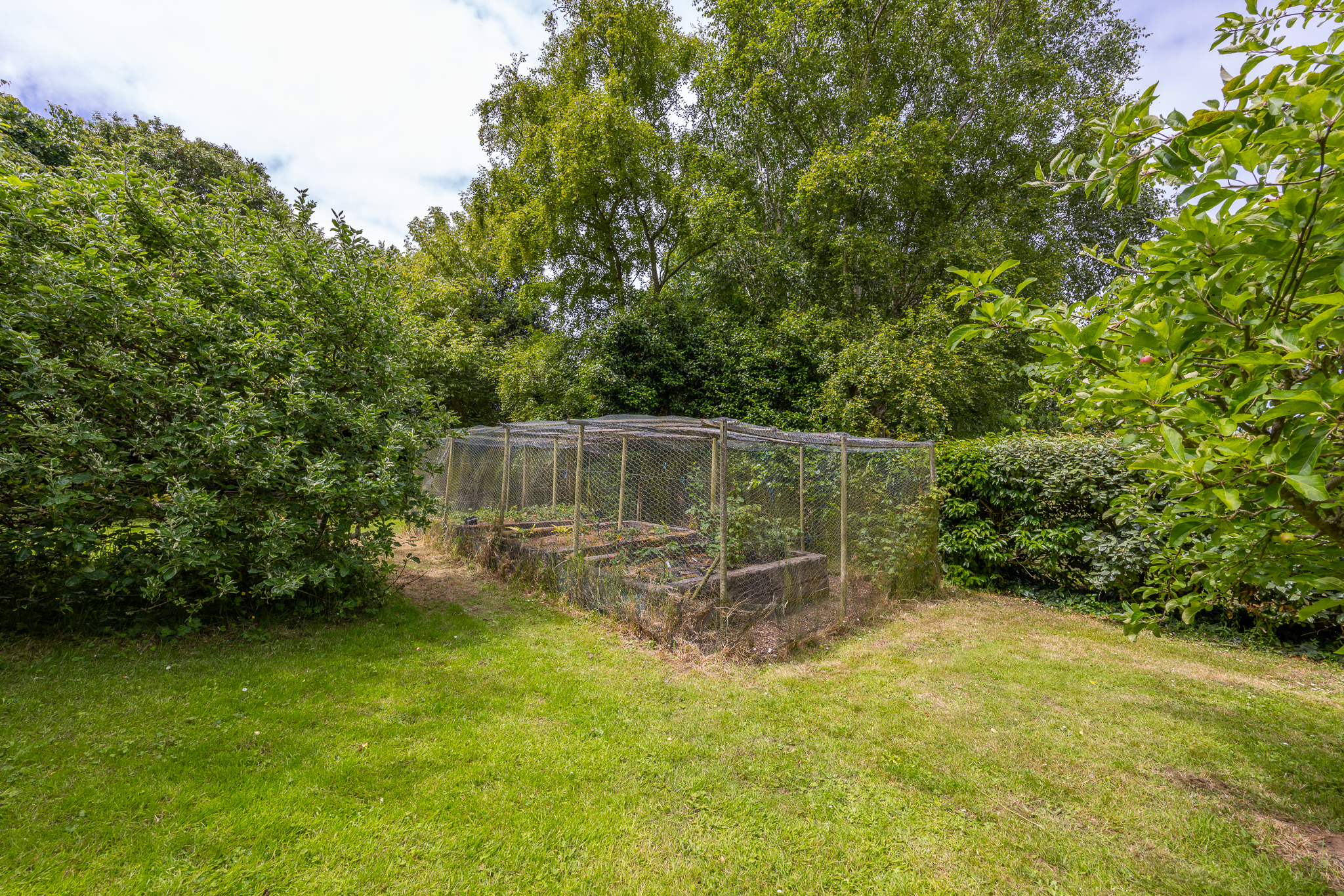 Kings Mills Farm photo 108