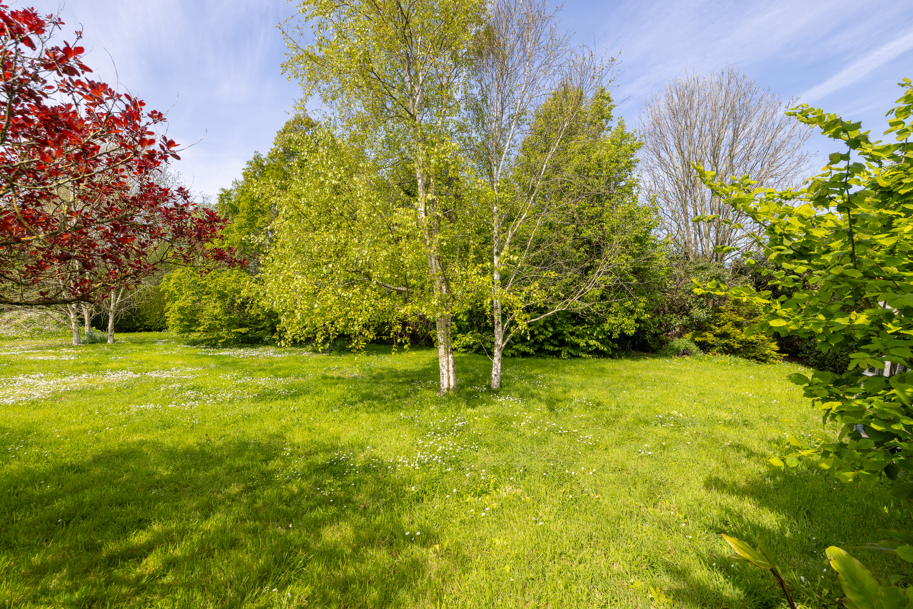 Merton House photo 34