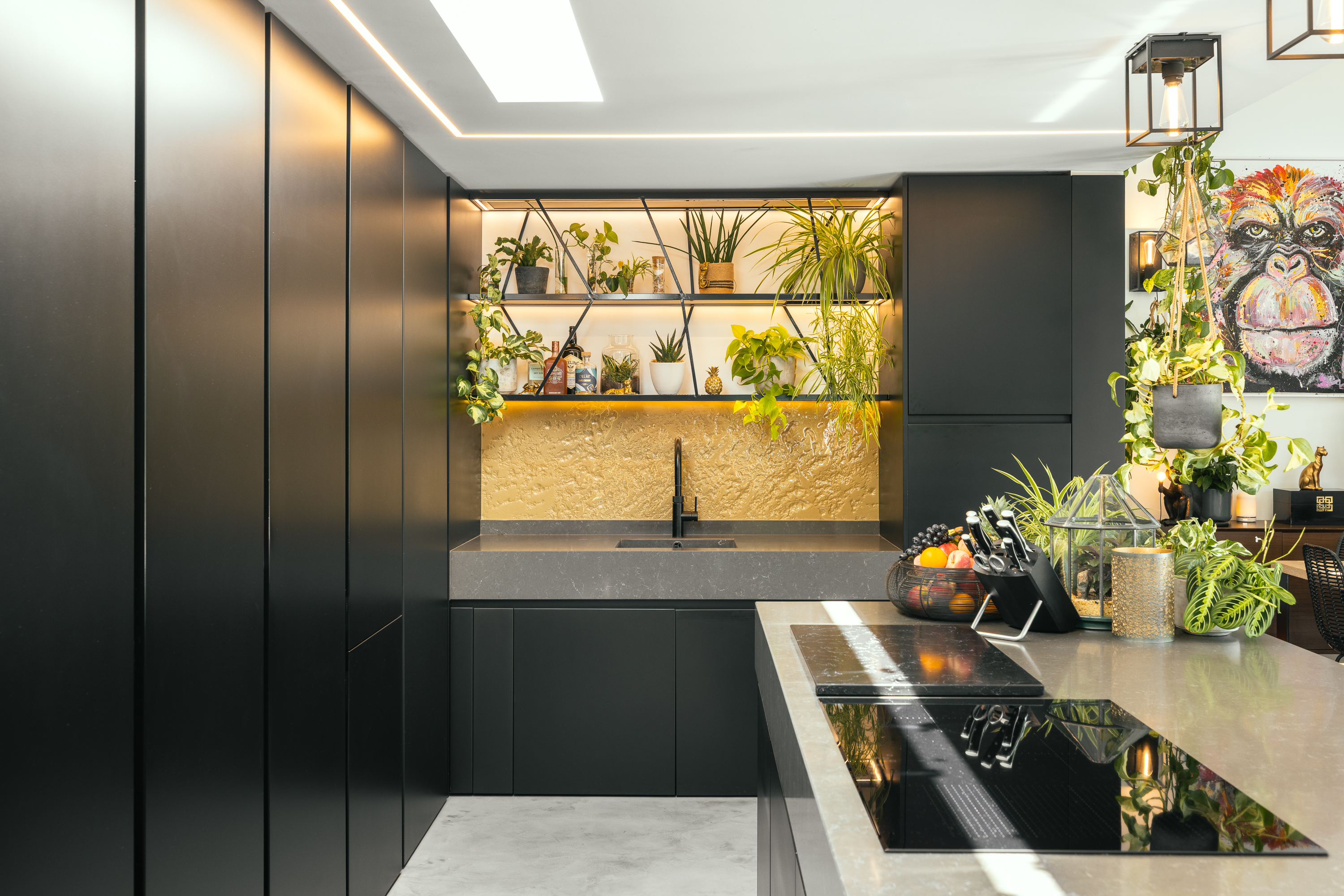 Bohemia House photo 11