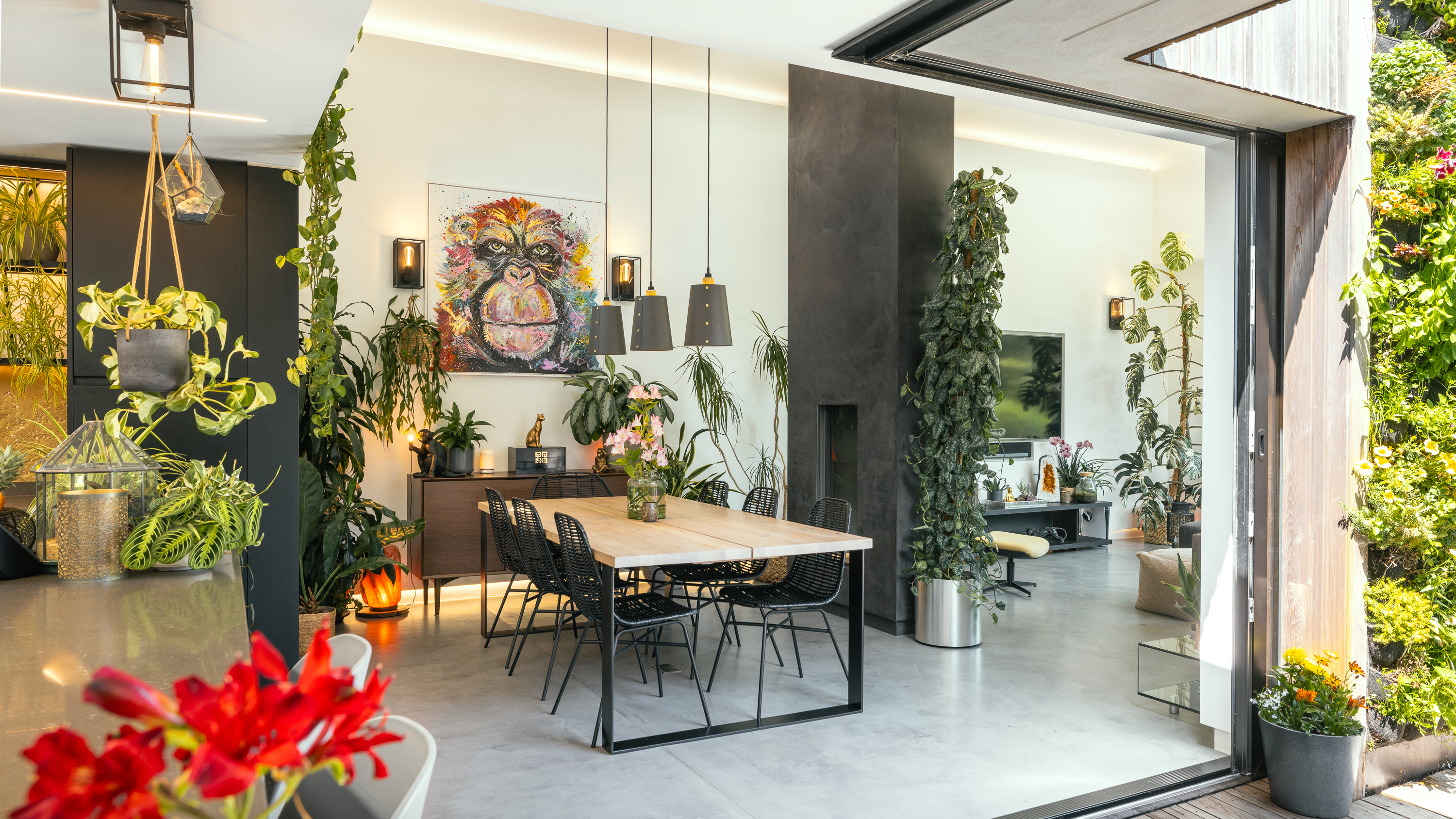 Bohemia House photo 18