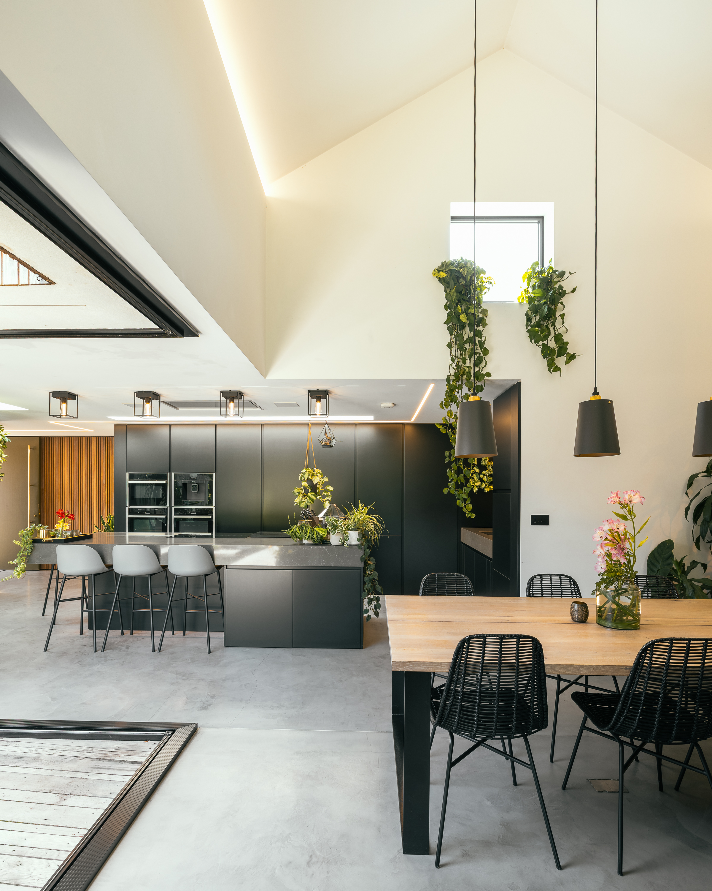 Bohemia House photo 24