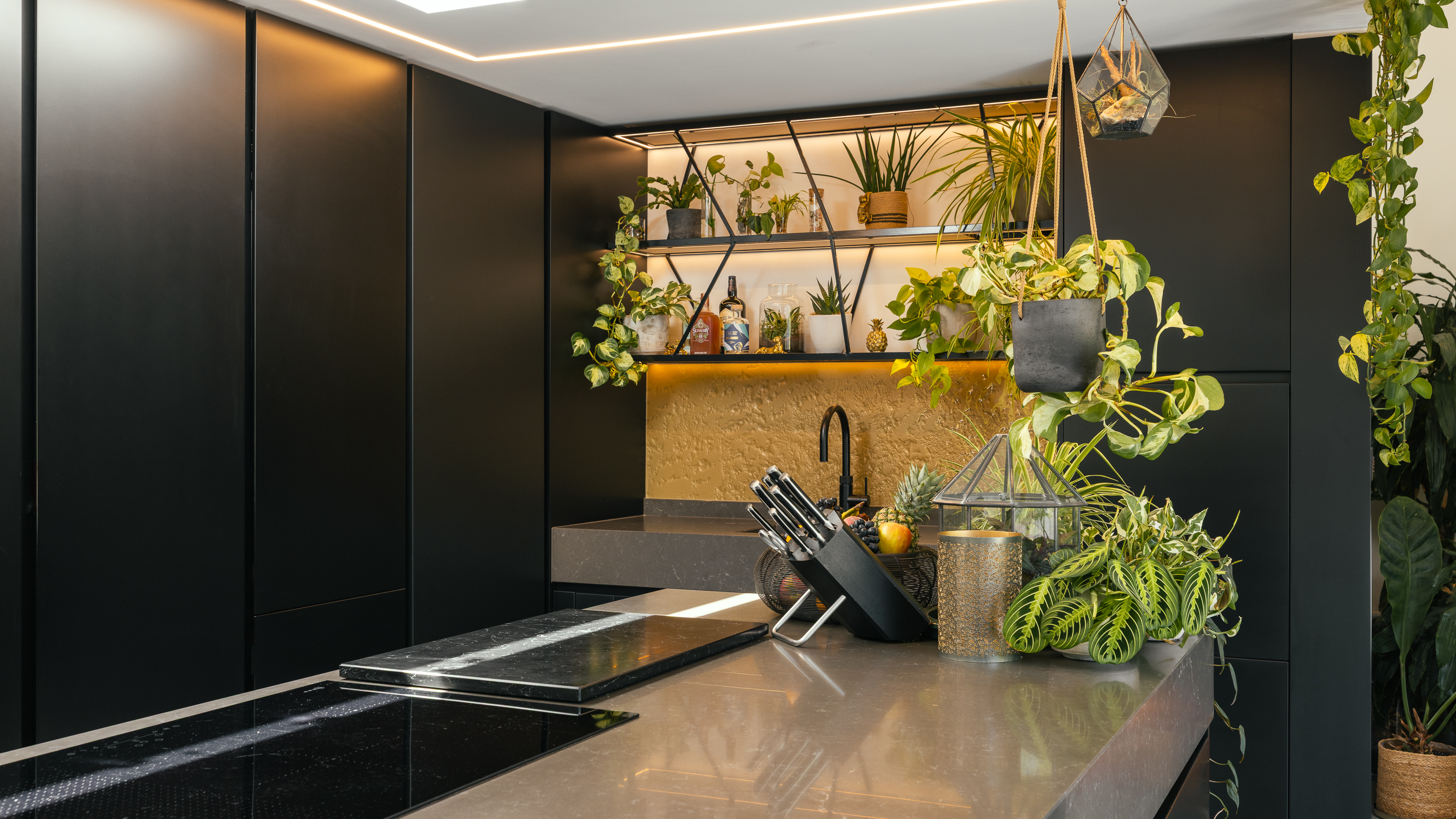 Bohemia House photo 15