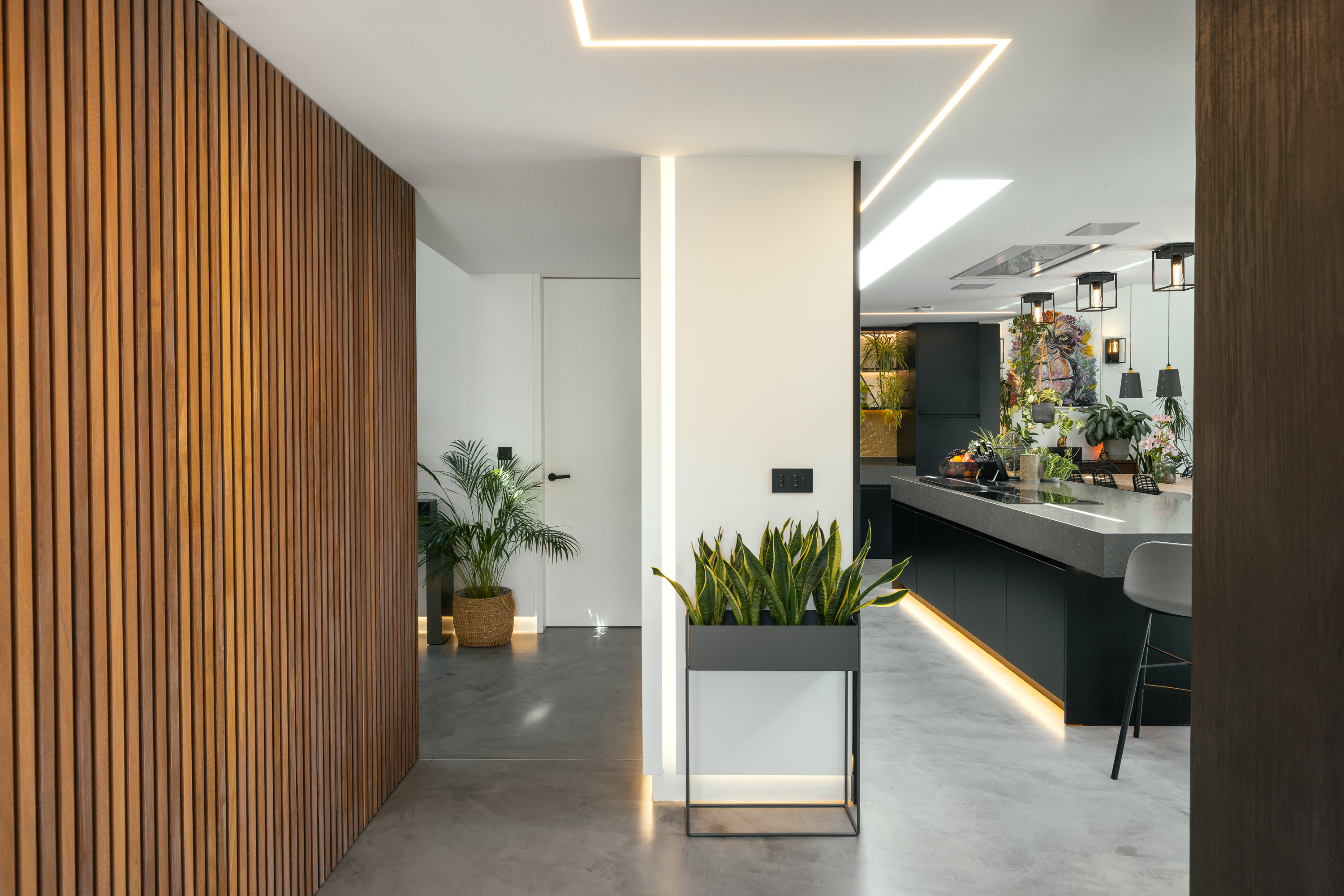 Bohemia House photo 6