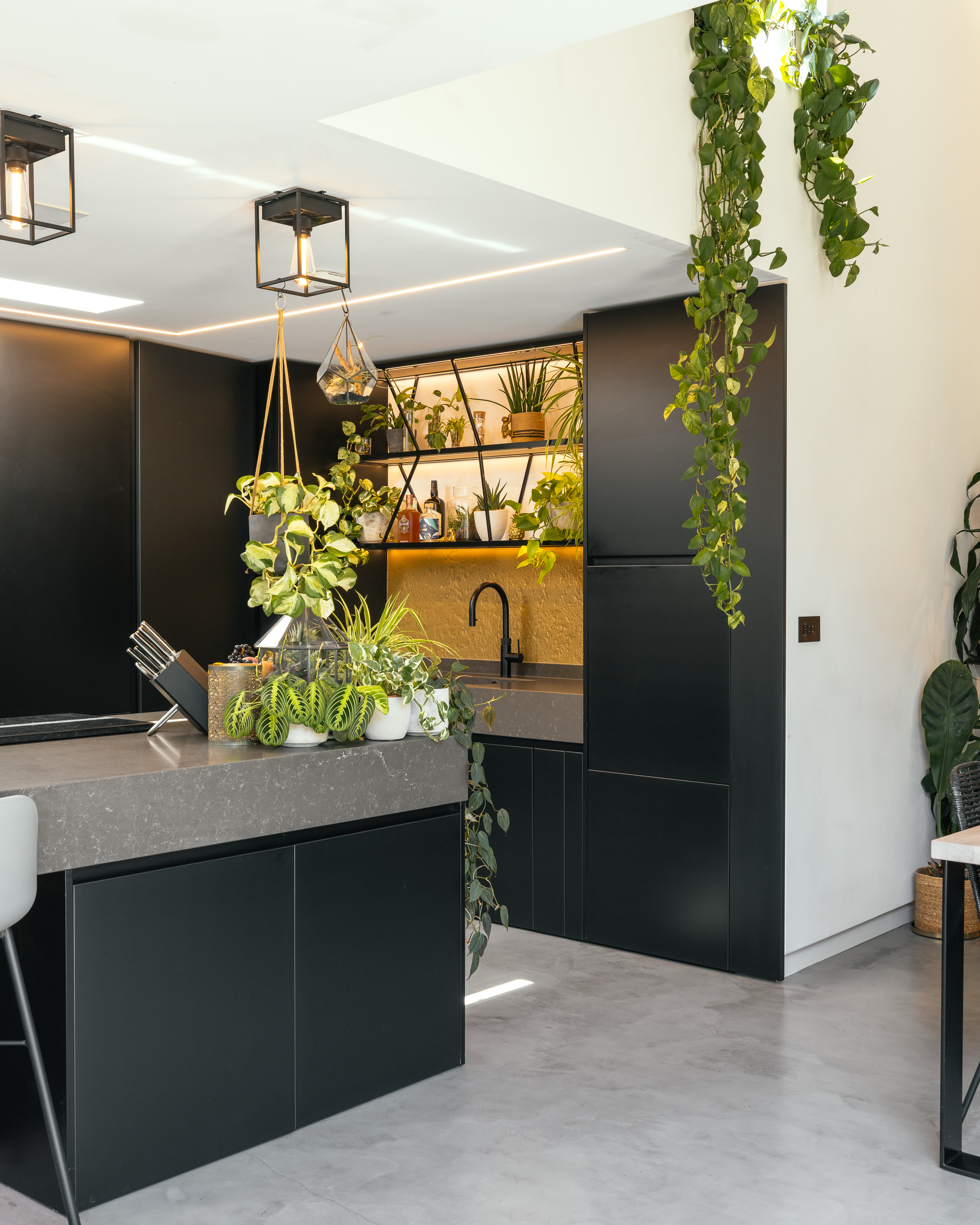Bohemia House photo 14