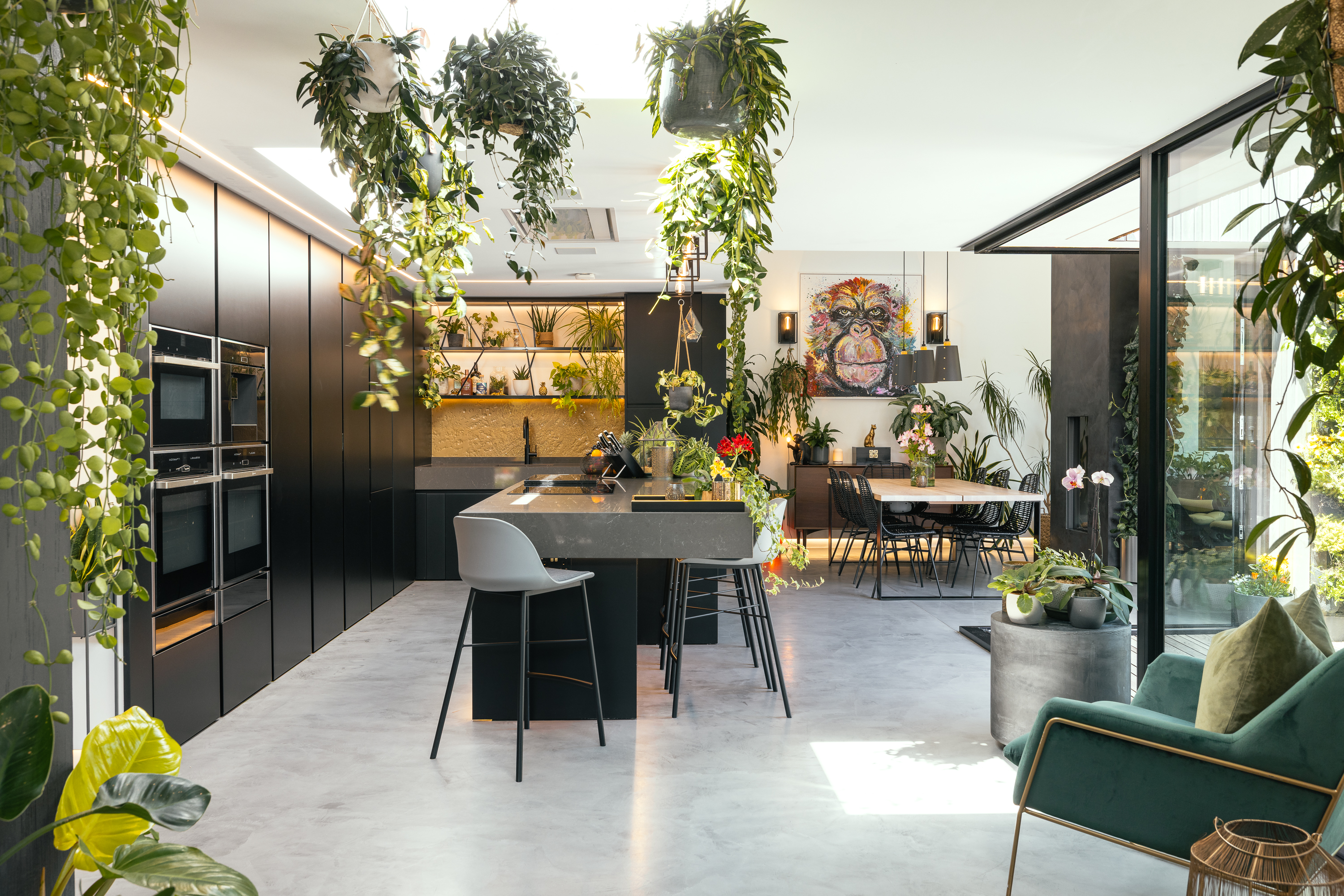 Bohemia House photo 7