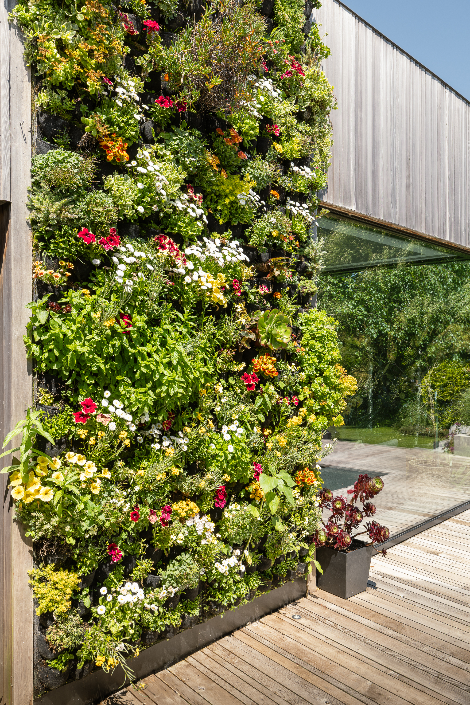 Bohemia House photo 66