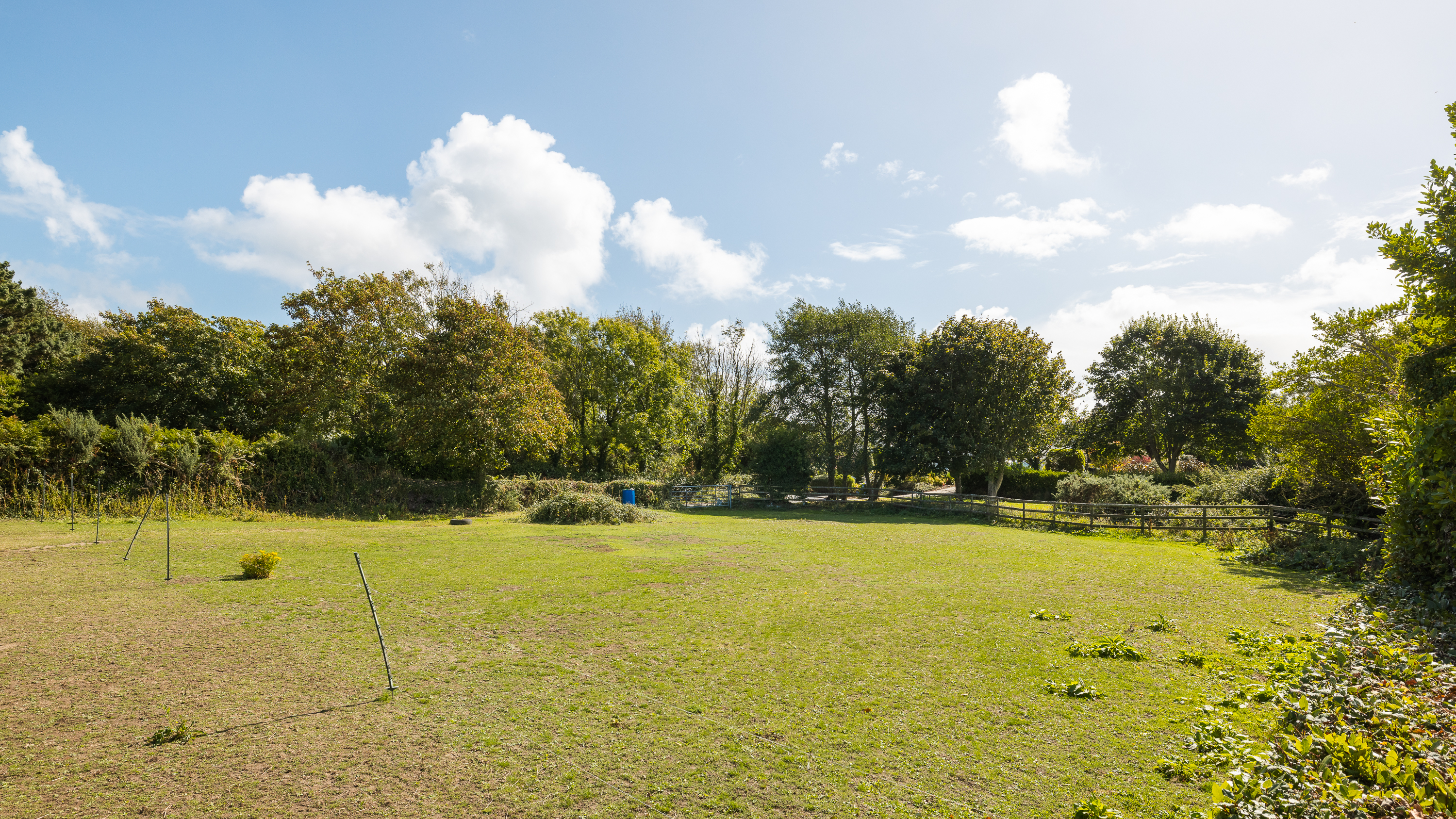 Charlton photo 68