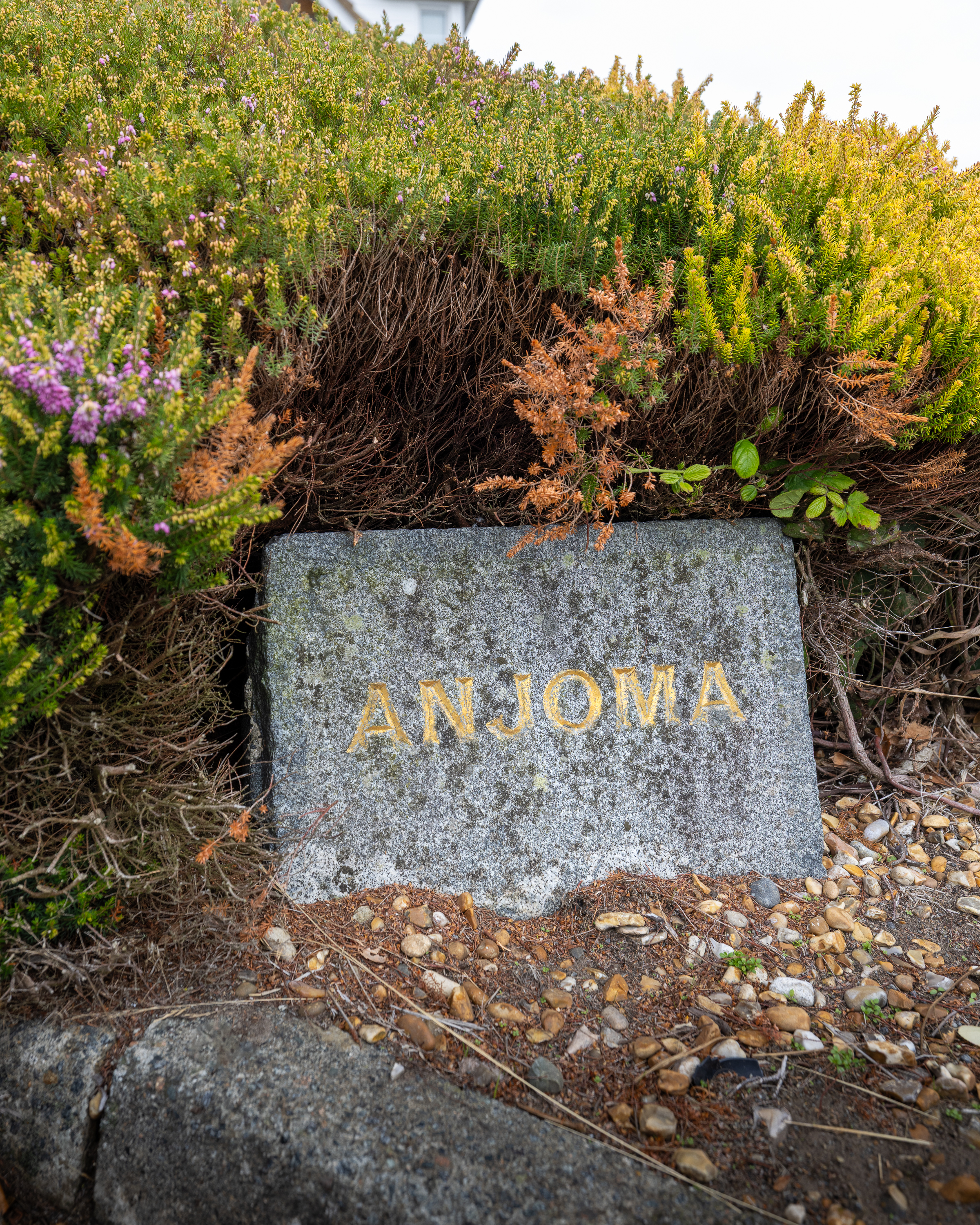 Anjoma photo 5