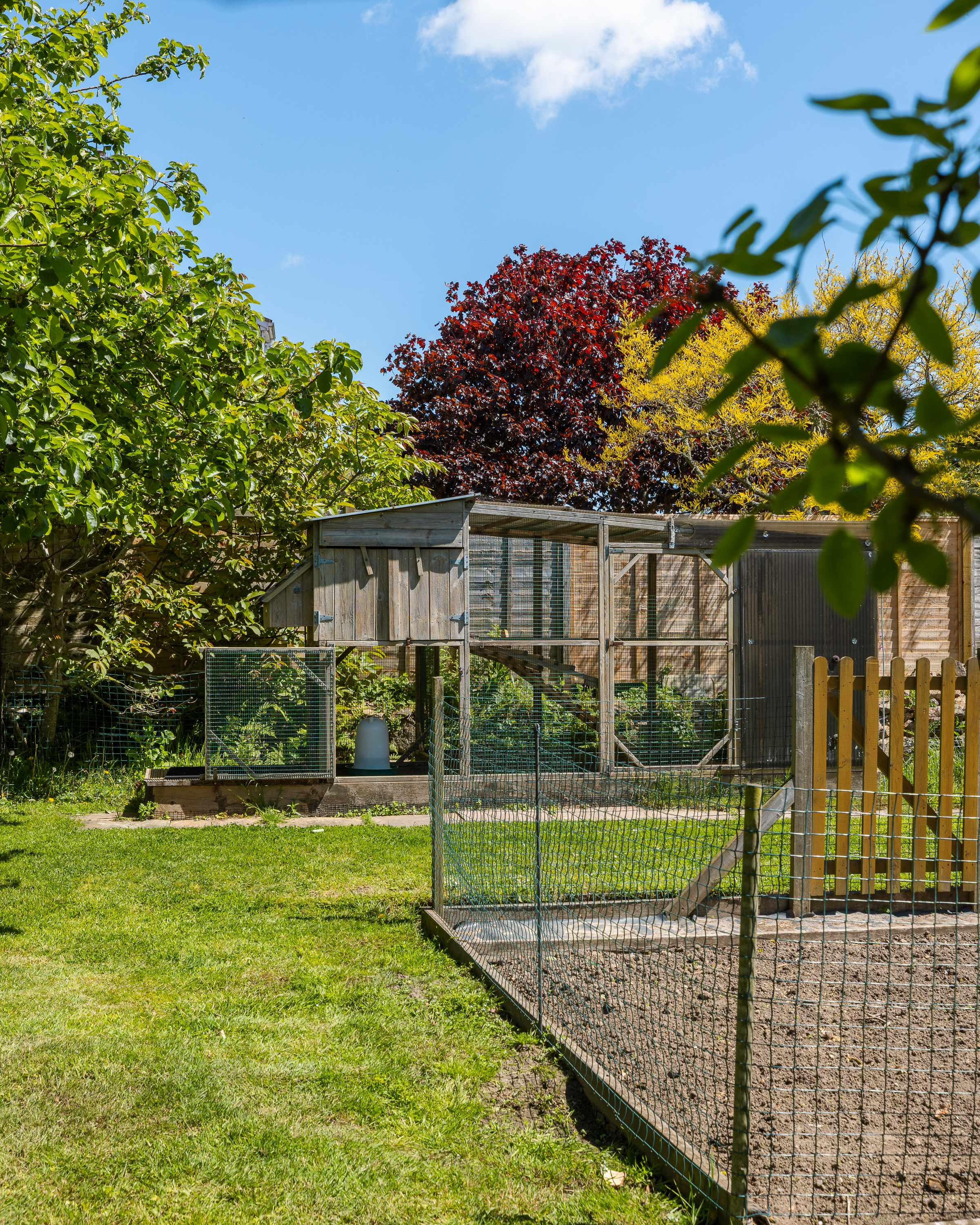 La Motte Cottage photo 73