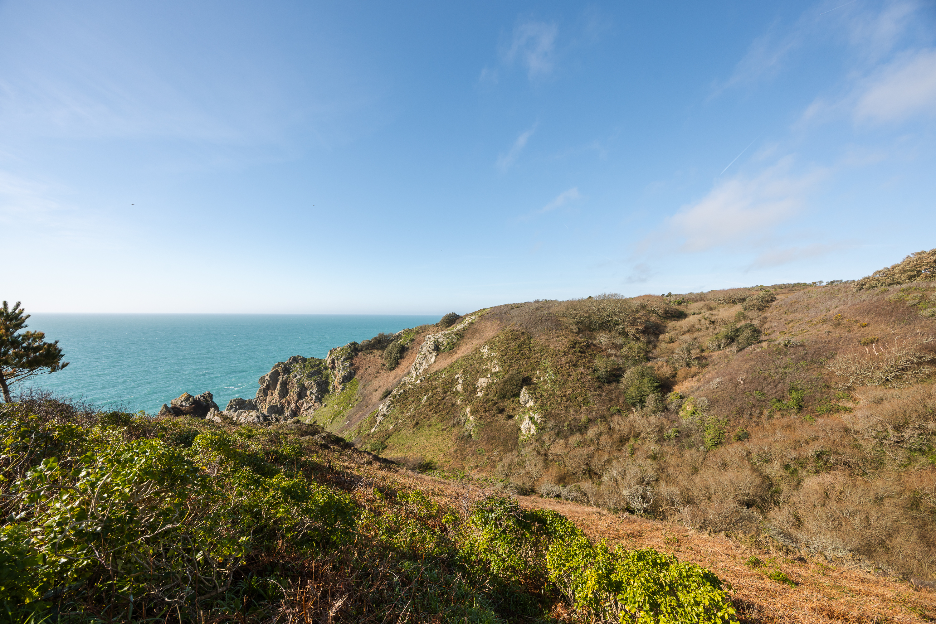 The Cliff Top Shop photo 40