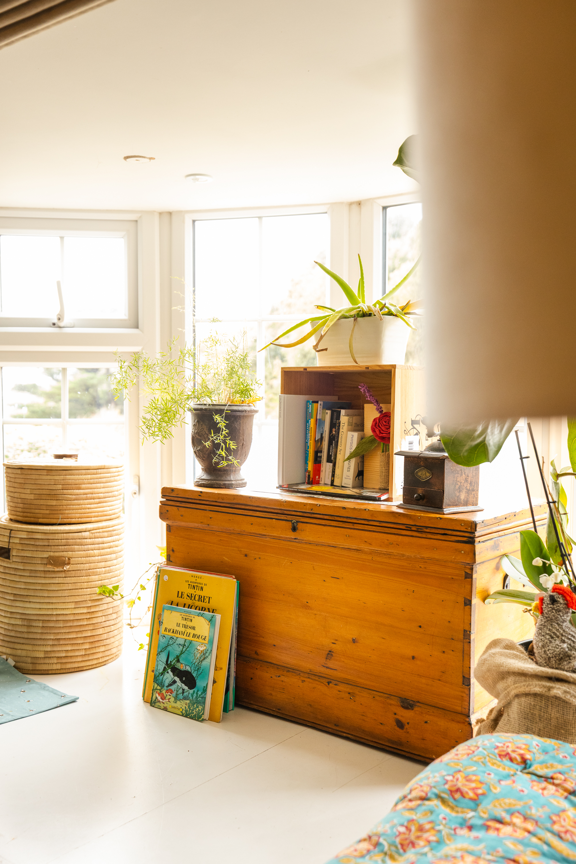 The Cliff Top Shop photo 20