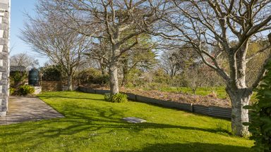 La Chataigne photo 39