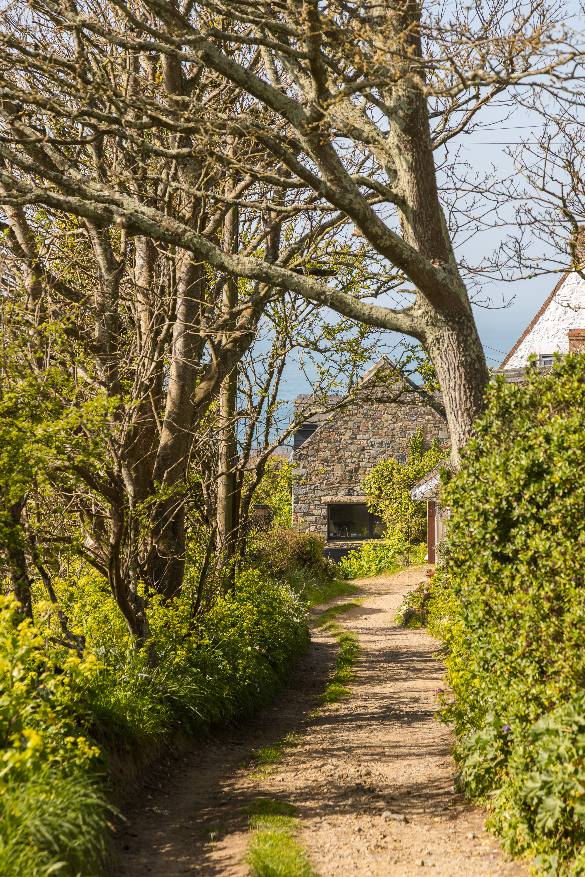 Dos D'ane Cottage photo 4