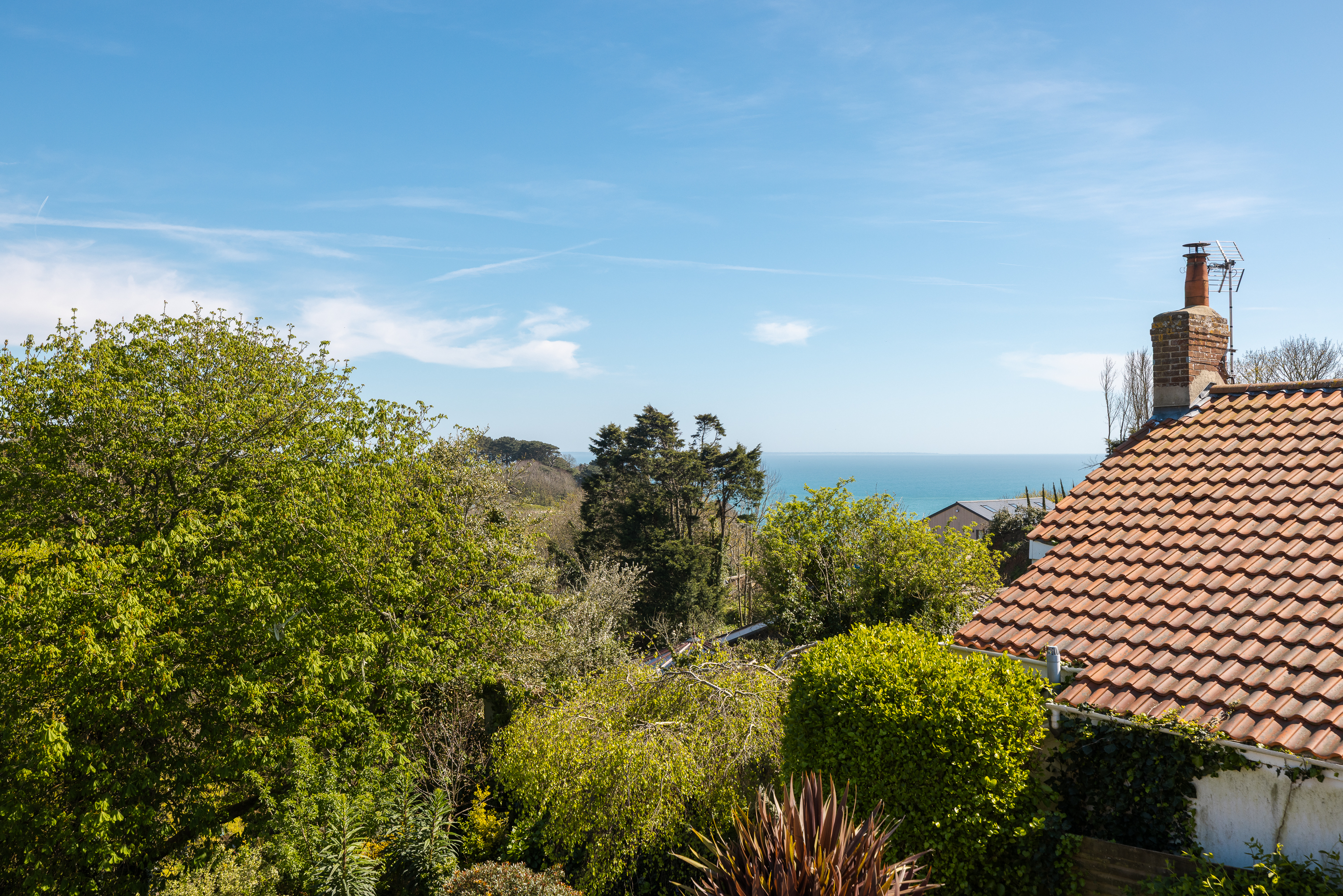 Rose Cottage photo 38
