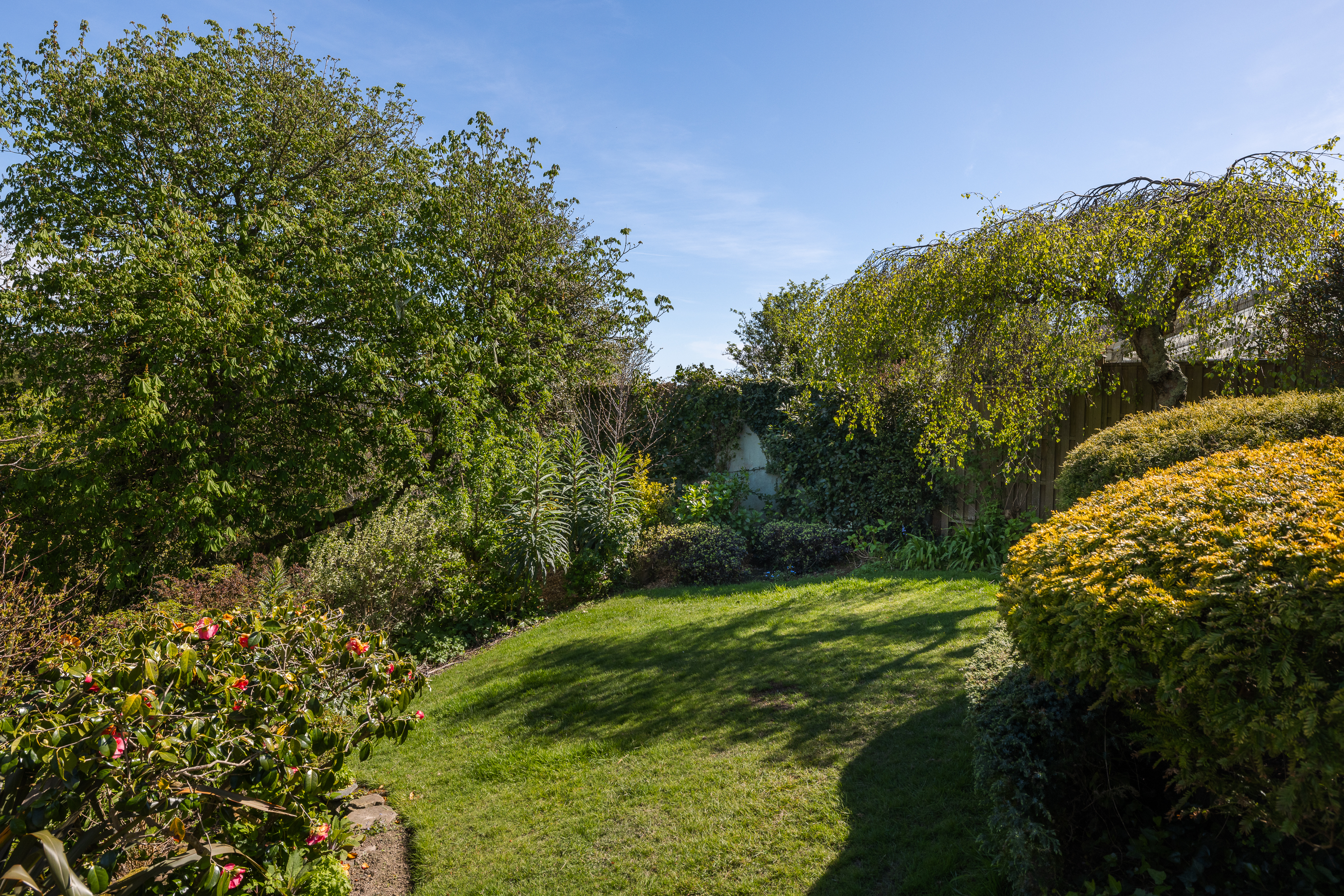 Rose Cottage photo 50