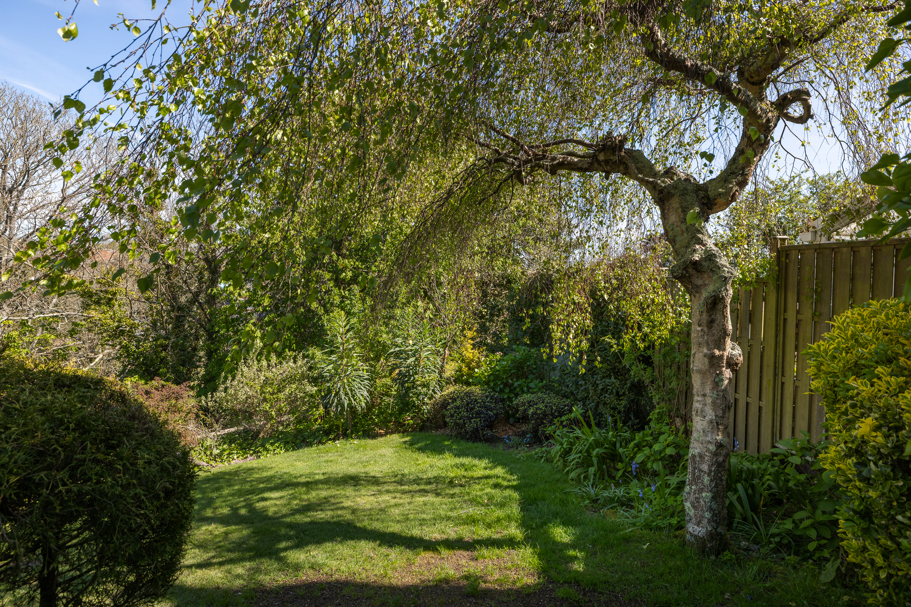 Rose Cottage photo 49